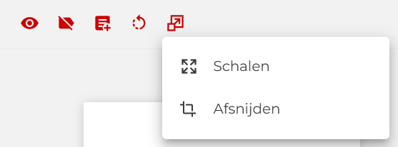 schaalopties.png